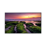Samsung QBB Series QB55B 55" 16:9 60Hz 4K LED VA LCD Commercial Smart Display (Wi-Fi) — Being Shipped