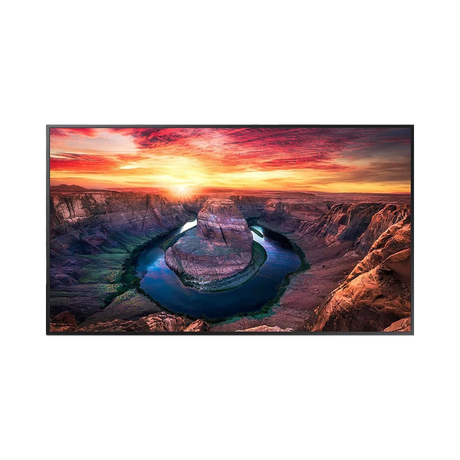 Samsung QMB-T Series Class 43" 16:9 60Hz 4K UHD VA LCD Commercial Monitor — Being Shipped