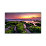 Samsung QBB Series 55" 16:9 60Hz 4K LED VA LCD Commercial Smart Display — Being Shipped