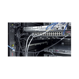 APC NetShelter Cable Management, Vertical Cable Manager, Cable Rings, Set of 8, Black, 55 mm x 766 mm x 85 mm — Being Shipped