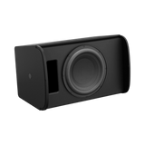 Bose Professional DesignMax DM10S 10" Passive Subwoofer (Black) — Being Shipped