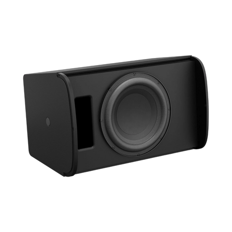 Bose Professional DesignMax DM10S 10" Passive Subwoofer (Black) — Being Shipped