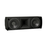 Bose Professional ArenaMatch Utility AMU208 Outdoor Speaker (Black) — Being Shipped