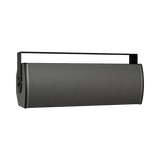 Bose Professional ArenaMatch Utility AMU208 Outdoor Speaker (Black) — Being Shipped