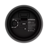 Bose Professional Designmax DM5P 240W 5.25" Coaxial Pendant Loudspeaker (Pair, Black) — Being Shipped