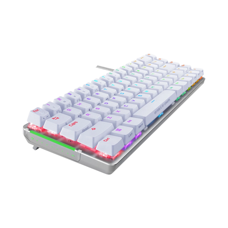 ASUS ROG Falchion Ace Wired Backlit Mechanical Keyboard (White, ROG NX Brown Switches) — Being Shipped