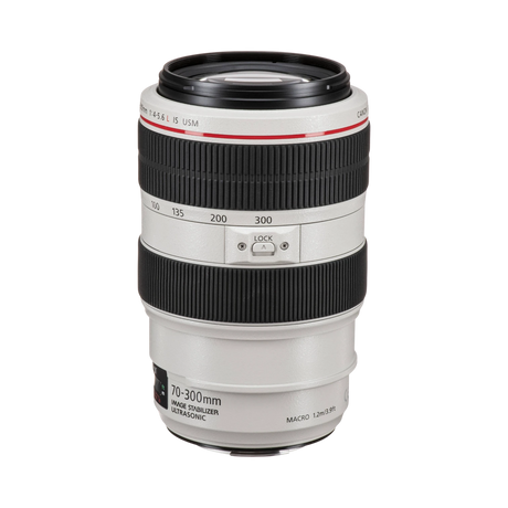 Canon EF 70-300mm f/4-5.6L IS USM Lens — Being Shipped