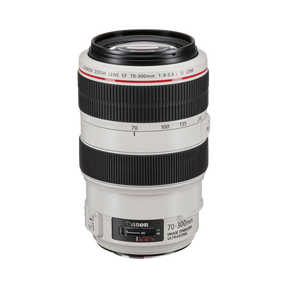 Canon EF 70-300mm f/4-5.6L IS USM Lens — Being Shipped
