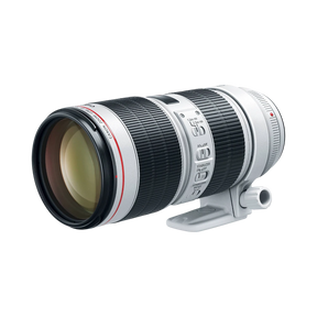 Canon EF 70-200mm f/2.8L IS III USM Lens — Being Shipped
