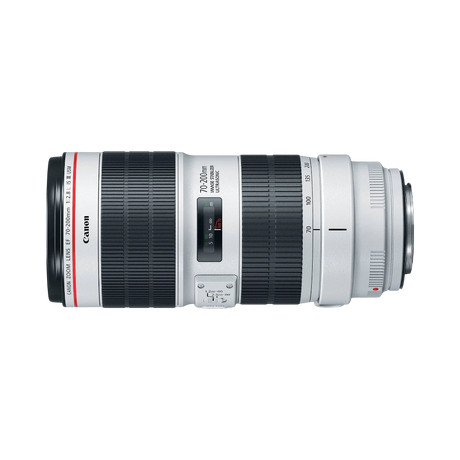 Canon EF 70-200mm f/2.8L IS III USM Lens — Being Shipped