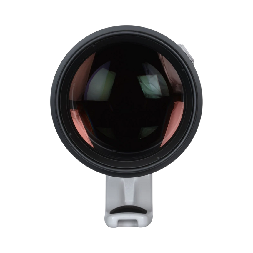 Canon EF 200-400mm f/4L IS USM Extender 1.4x Lens (Canon EF) — Being Shipped