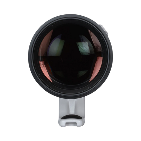 Canon EF 200-400mm f/4L IS USM Extender 1.4x Lens — Being Shipped