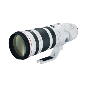 Canon EF 200-400mm f/4L IS USM Extender 1.4x Lens — Being Shipped