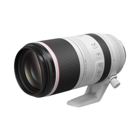 Canon RF 100-500mm f/4.5-7.1 L IS USM Lens — Being Shipped