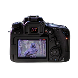 Canon EOS 90D DSLR Camera with 18-135mm Lens — Being Shipped