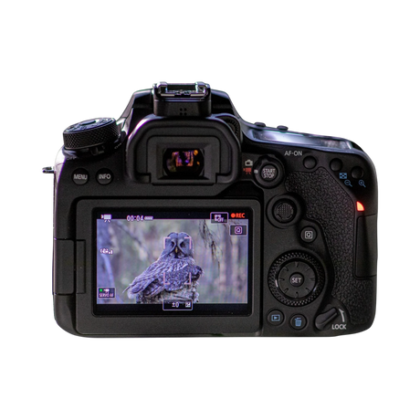 Canon EOS 90D DSLR Camera with 18-135mm Lens — Being Shipped