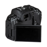 Canon EOS R Mirrorless 4K Video Camera — Being Shipped