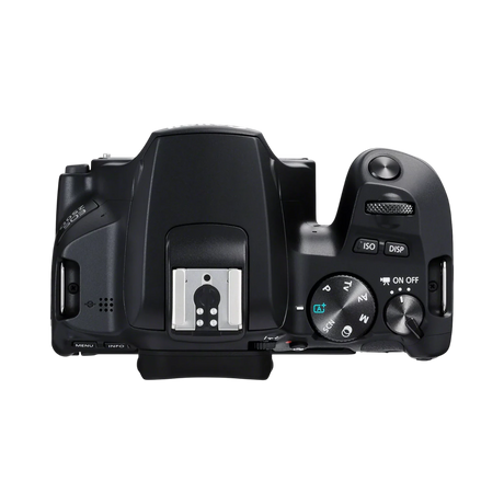 Canon EOS 250D Camera Body — Being Shipped