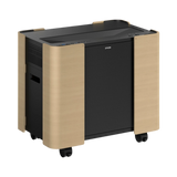 Epson ELPCS01 Mobile Projector Cart for PowerLite 810E & 815E — Being Shipped