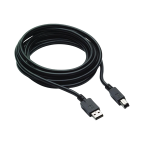 HP 300cm DP & USB-B to USB-A Cable — Being Shipped