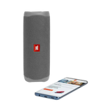 JBL Flip 5 Portable Bluetooth Speaker (Gray Stone) — Being Shipped