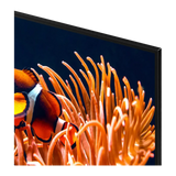 Samsung DU8000 Series 50" 4K HDR Smart LED TV — Being Shipped
