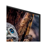 Samsung Q80D 85" 4K HDR Smart QLED TV — Being Shipped