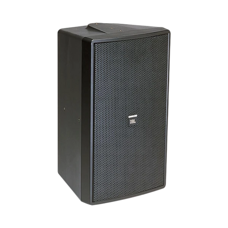 JBL Control 29AV-1 8" 2-Way 300W Indoor/Outdoor Loudspeaker (Single, Black) — Being Shipped