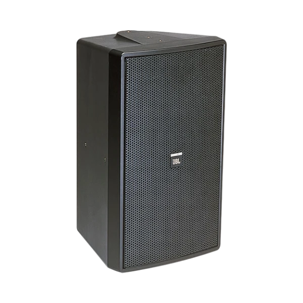 JBL Control 29AV-1 8" 2-Way 300W Indoor/Outdoor Loudspeaker (Single, Black) — Being Shipped