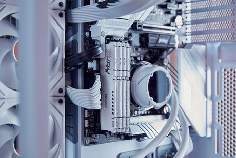 Kingston FURY Beast White EXPO 32GB DDR5 6000MT/s CL30 (2 x 16GB) — Being Shipped