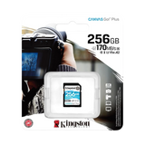 Kingston Canvas Go! Plus 256GB UHS-I SDXC Memory Card — Being Shipped