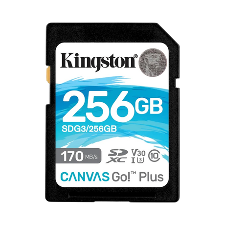 Kingston Canvas Go! Plus 256GB UHS-I SDXC Memory Card — Being Shipped
