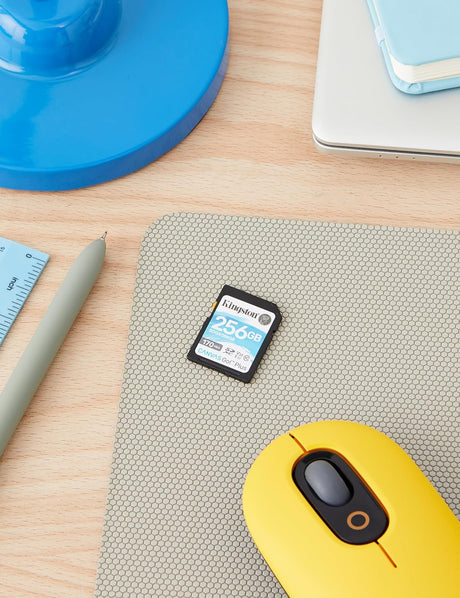Kingston Canvas Go! Plus 256GB UHS-I SDXC Memory Card — Being Shipped