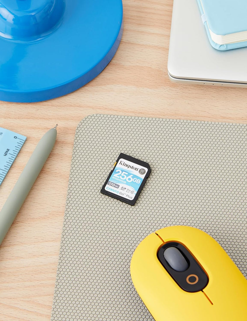 Kingston Canvas Go! Plus 256GB UHS-I SDXC Memory Card — Being Shipped