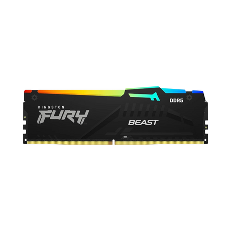 Kingston FURY Beast Black RGB XMP 16GB DDR5 5600MT/s CL40 Memory Module — Being Shipped