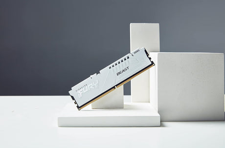 Kingston FURY Beast White EXPO 32GB DDR5 6000MT/s CL36 Memory Module — Being Shipped