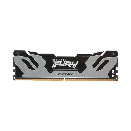 Kingston FURY Renegade Silver/Black XMP 16GB DDR5 6400MT/s CL32 Memory Module — Being Shipped