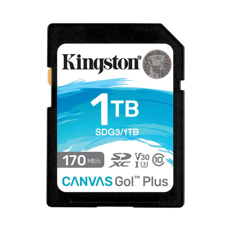 Kingston Canvas Go! Plus 1TB UHS-I SDXC Memory Card — Being Shipped