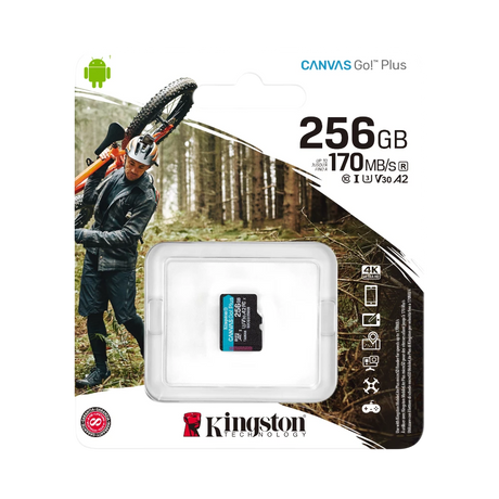 Kingston Canvas Go! Plus 256GB UHS-I microSDXC Memory Card — Being Shipped