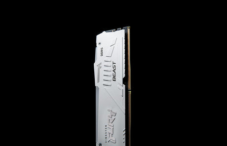 Kingston FURY Beast White RGB EXPO 32GB DDR5 5600MT/s CL36 Memory Kit (2 x 16GB) — Being Shipped