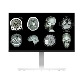 LG 27HJ712C 27" 16:9 60Hz 4K IPS Clinical Review Monitor — Being Shipped