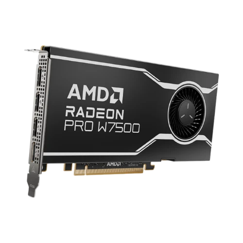 AMD Radeon Pro W7500 Professional Graphics Card — Being Shipped