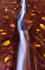 Canon EOS R5 Mirrorless Camera with 24-105mm f/4 Lens — Being Shipped