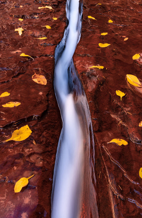 Canon EOS R5 Mirrorless Camera with 24-105mm f/4 Lens — Being Shipped