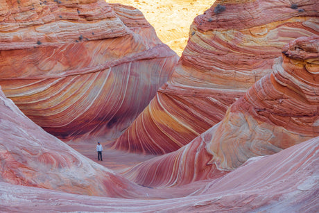 Canon EOS R5 Mirrorless Camera — Being Shipped