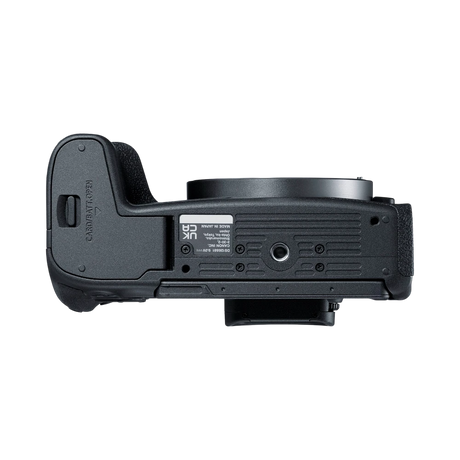 Canon EOS R8 Mirrorless Camera Content Creator Kit — Being Shipped