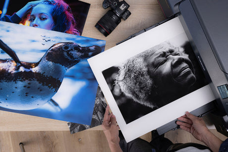 Canon imagePROGRAF PRO-1100 Professional 17" Wireless Inkjet Photo Printer — Being Shipped