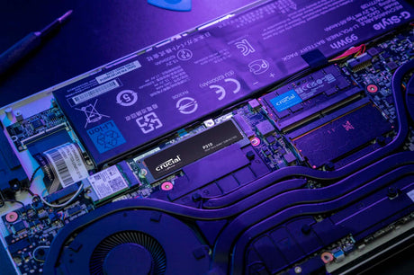 Crucial P310 2TB M.2 2280 PCIe 4.0 x4 Internal SSD — Being Shipped