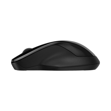 HP 250 Dual 2.4GHZ Bluetooth Mouse — Being Shipped