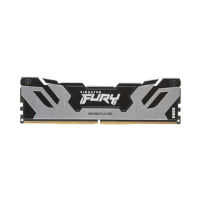 Kingston FURY Renegade Silver/Black XMP 32GB DDR5 6400MT/s CL32 Memory Module — Being Shipped